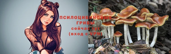 крисы Протвино